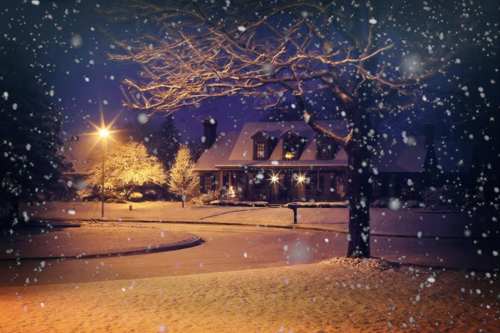Bild Winterzauber